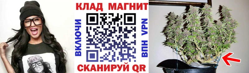 Где купить Павловск Марихуана МЕФ Alpha-PVP Codein Cocaine ГАШ