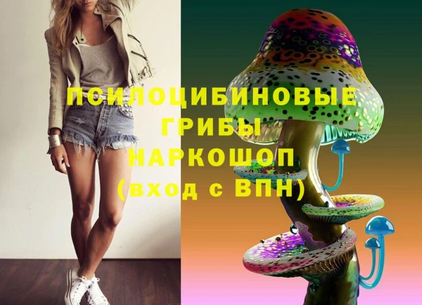 меф Богородицк