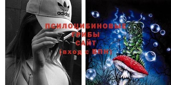 экстази Белокуриха