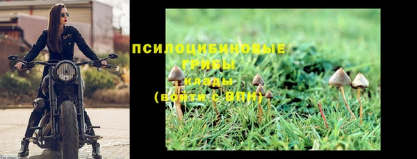 экстази Белокуриха