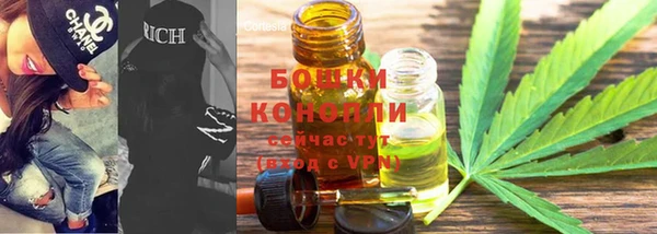 экстази Белокуриха