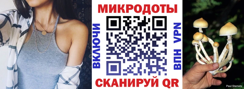 blacksprut зеркало  Павловск  Галлюциногенные грибы ЛСД  купить закладку 
